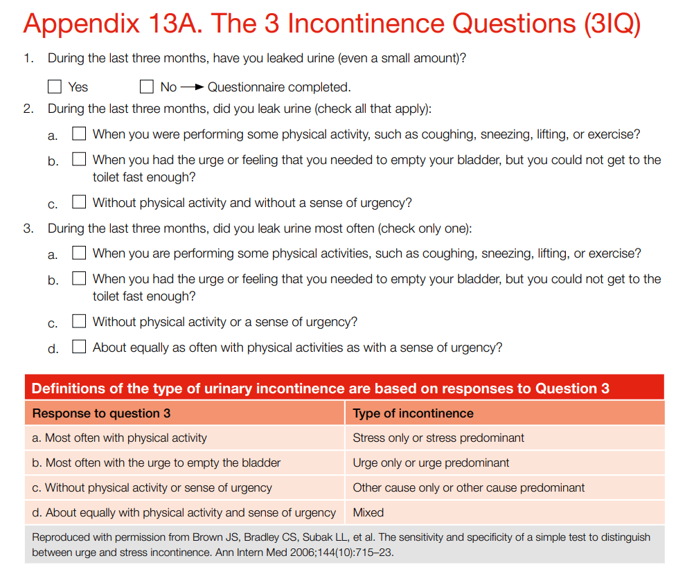 3IQ (Incontinence Questionnaire)